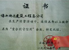 荣誉展示十三